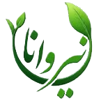 مجموعه نیروانا